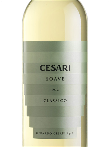 фото Cesari Soave Classico DOC Чезари Соаве Классико Италия вино белое