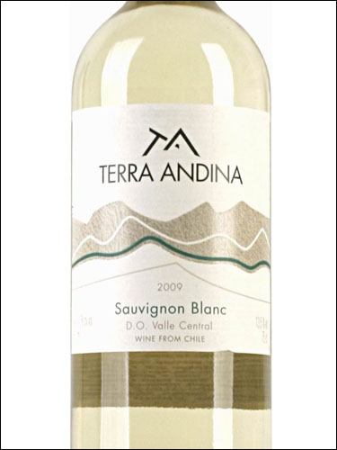 фото Terra Andina Sauvignon Blanc Valle Central DO Терра Андина Совиньон Блан Центральная Долина Чили вино белое