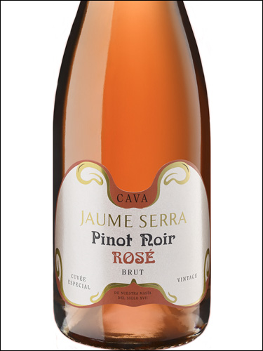 фото вино Jaume Serra Pinot Noir Rose Cava DO 