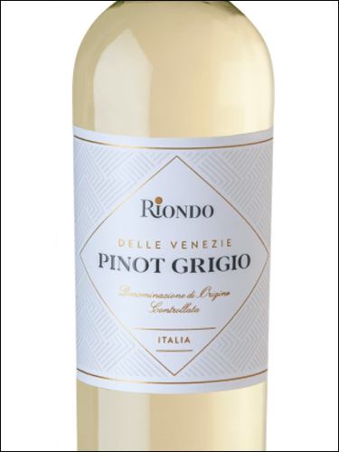 фото Riondo Pinot Grigio Delle Venezie DOC Риондо Пино Гриджио делле Венецие Италия вино белое