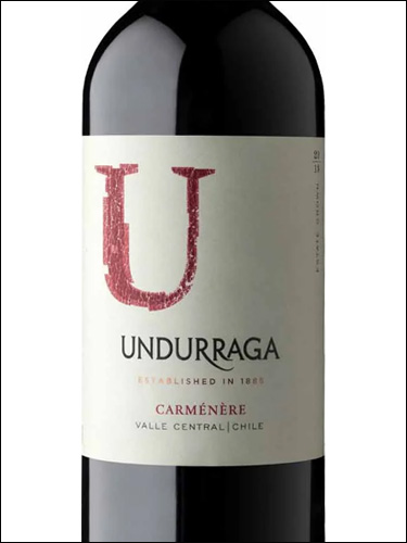 фото Undurraga Carmenere Central Valley DO Ундуррага Карменер Чили вино красное