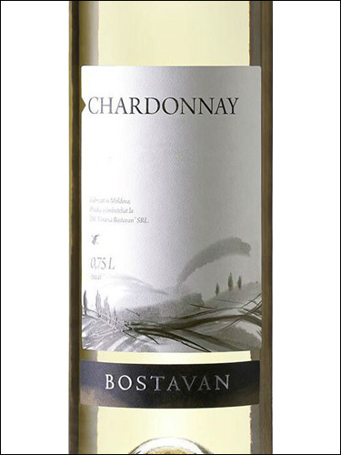фото Bostavan Chardonnay Боставан Шардоне Молдавия вино белое