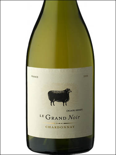 фото Le Grand Noir Chardonnay Pays d'Oc IGP Ле Гран Нуар Шардоне Пэи д'Ок Франция вино белое