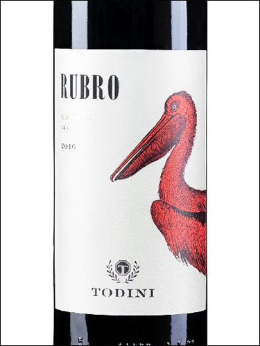 фото Todini Rubro Umbria Rosso IGT Тодини Рубро Умбрия Россо Италия вино красное
