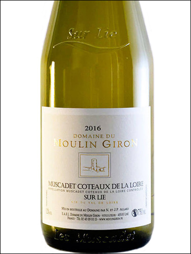 фото Domaine du Moulin Giron Muscadet Coteaux de la Loire sur Lie AOC Домен дю Мулен Жирон  Мюскаде Кото де ла Луар сюр Ли Франция вино белое