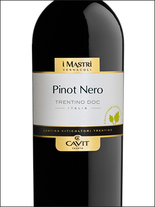 фото Cavit Mastri Vernacoli Pinot Nero Trentino DOC Кавит Мастри Вернаколи Пино Неро Трентино Италия вино красное