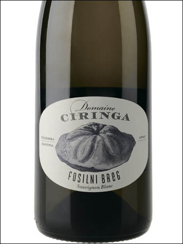 фото Domaine Ciringa Fosilni Breg Sauvignon Blanc Домен Циринга Фосилни Брег Совиньон Блан Словения вино белое