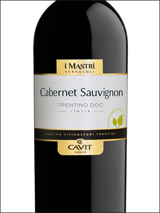 фото Cavit Mastri Vernacoli Cabernet Sauvignon Trentino DOC Кавит Мастри Вернаколи Каберне Совиньон Трентино Италия вино красное