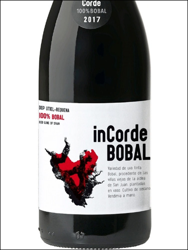 фото вино In Corde Bobal Utiel-Requena DOP 