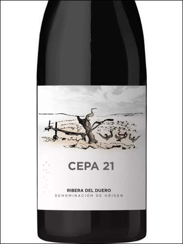 фото вино Bodegas Cepa 21 Ribera del Duero DO 