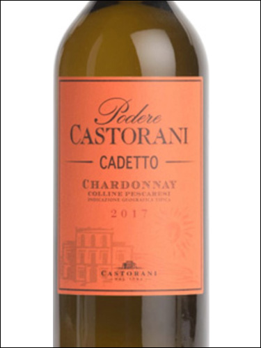 фото Castorani Cadetto Colline Pescaresi Chardonnay IGT Касторани Кадетто Коллине Пескарези Шардоне Италия вино белое