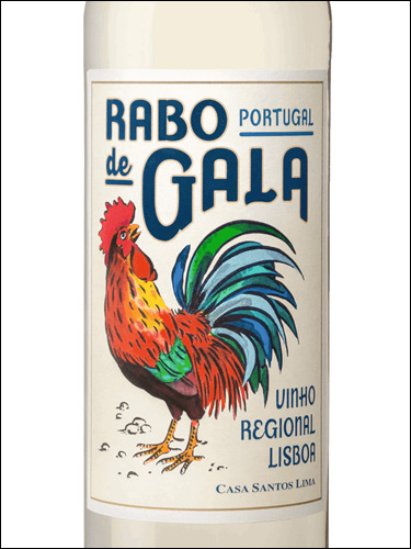 фото Casa Santos Lima Rabo de Gala Branco Vinho Regional Lisboa Каза Сантуш Лима Рабу де Гала белое Лиссабон Португалия вино белое