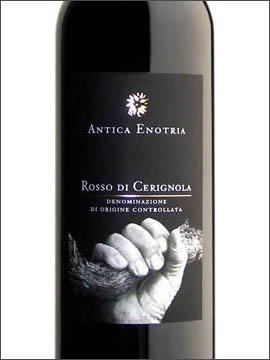 фото Antica Enotria Rosso di Cerignola DOC Антика Энотрия Россо ди Чериньола Италия вино красное