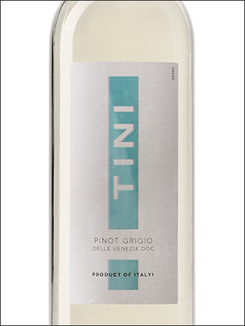 фото Tini Pinot Grigio delle Venezie DOC Тини Пино Гриджио делле Венецие Италия вино белое