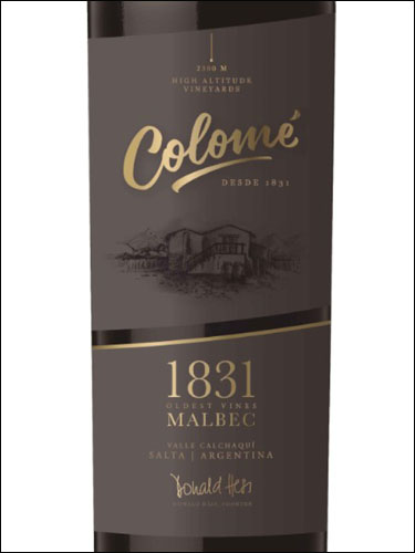 фото Colome 1831 Calchaqui Salta Коломе 1831 Кальчаки Сальта Аргентина вино красное
