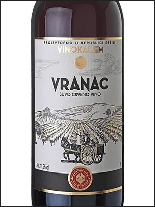 фото Vino Kalem Vranac Вино Калем Вранац Сербия вино красное