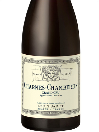 фото Louis Jadot Charmes-Chambertin Grand Cru AOC Луи Жадо Шарм-Шамбертен Гран Крю Франция вино красное