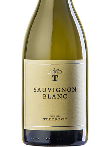 фото Vinarija Todorović Sauvignon Blanc Винария Тодорович Совиньон Блан Сербия вино белое