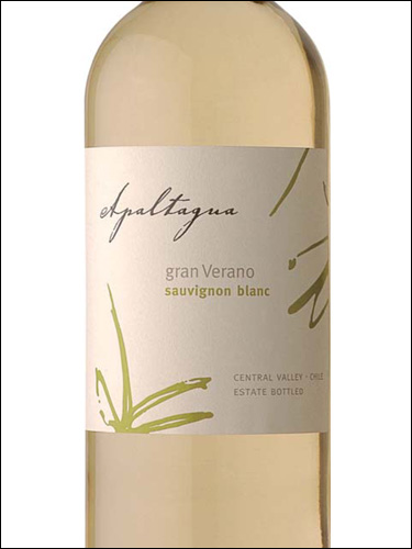 фото Apaltagua Gran Verano Sauvignon Blanc Valley Central Апальтагуа Гран Верано Совиньон Блан Центральная Долина Чили вино белое