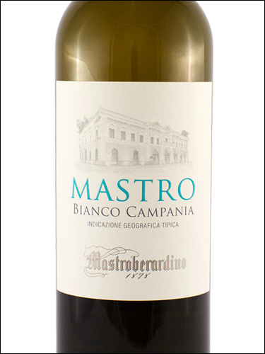 фото Mastroberardino Mastro Bianco Campania IGT Мастроберардино Мастро Бьянко Кампания Италия вино белое