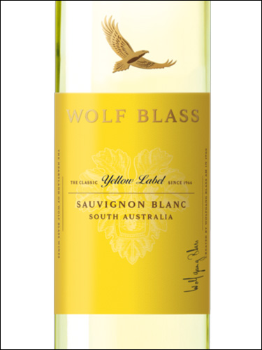 фото Wolf Blass Yellow Label Sauvignon Blanc South Australia Вольф Бласс Йеллоу Лейбл Совиньон Блан Южная Австралия Австралия вино белое