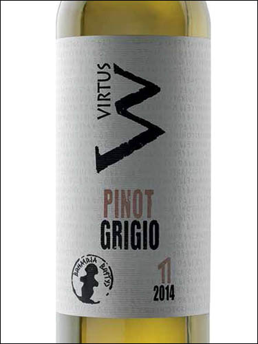 фото Virtus Pinot Grigio Виртус Пино Гриджио Сербия вино белое