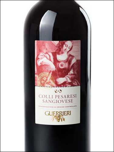 фото Guerrieri Colli Pesaresi Sangiovese DOC Гуэррьери Колли Пезарези Санджовезе Италия вино красное
