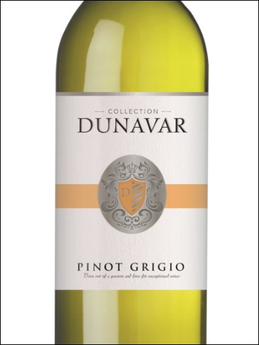 фото Dunavar Pinot Grigio Felso-Magyarorszag IGP Дунавар Пино Гриджио Фельшё-Мадьярорсаг Венгрия вино белое