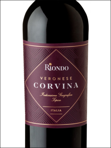 фото Riondo Corvina Veronese IGT Риондо Корвина Веронезе Италия вино красное