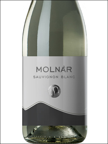 фото Molnar Sauvignon Blanc Мольнар Совиньон Блан Венгрия вино белое
