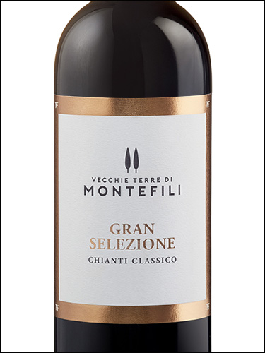 фото Vecchie Terre di Montefili Chianti Classico Gran Selezione DOCG Веккье Терре ди Монтефили Кьянти Классико Гран Селеционе Италия вино красное