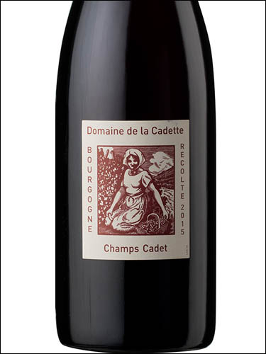 фото Domaine de la Cadette Champs Cadet Bourgogne Rouge AOC Домен де ля Кадет Шамп Каде Бургонь Руж Франция вино красное