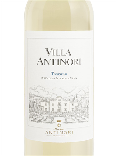 фото Villa Antinori Toscana Bianco IGT Вилла Антинори Тоскана Бьянко Италия вино белое