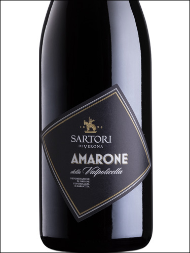 фото Sartori Amarone della Valpolicella DOCG Сартори Амароне делла Вальполичелла  Италия вино красное