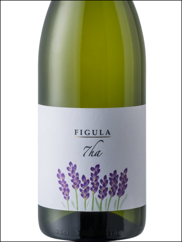 фото Figula 7 ha Фигула 7 гектаров Венгрия вино белое