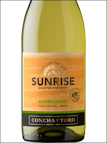 фото Concha y Toro Sunrise Chardonnay Конча и Торо Санрайз Шардоне Чили вино белое