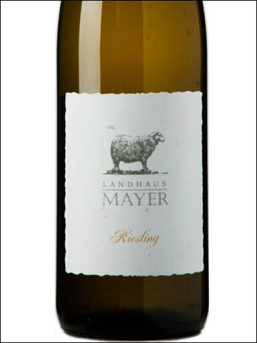 фото Landhaus Mayer Riesling Ландхаус Майер Рислинг Австрия вино белое