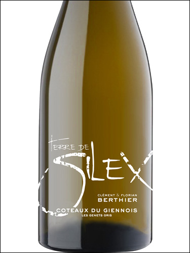 фото Clement & Florian Berthier Terre de Silex Coteaux du Giennois Blanc AOC Клеман & Флориан Бертье Терр де Силекс Кото дю Жьенуа Блан Франция вино белое