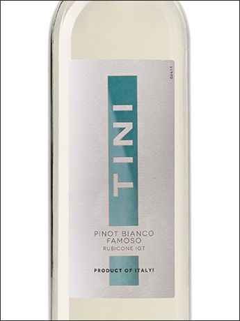 фото Tini Pinot Bianco - Famoso Rubicone IGT Тини Пино Бьянко - Фамозо Рубиконе Италия вино белое