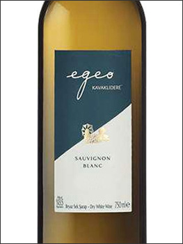 фото Kavaklıdere Egeo Sauvignon Blanc Каваклыдере Эгео Совиньон Блан Турция вино белое