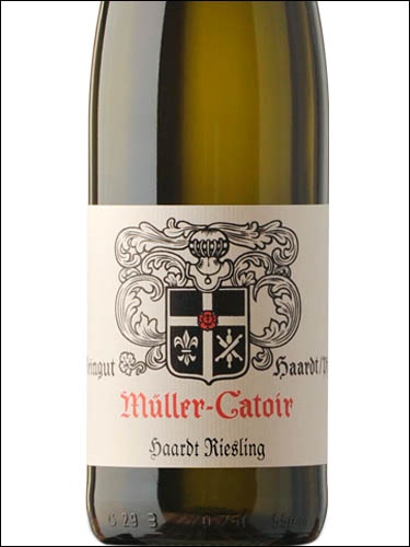 фото Muller-Catoir Riesling Haardt trocken Мюллер-Катойр Рислинг Хардт трокен Германия вино белое