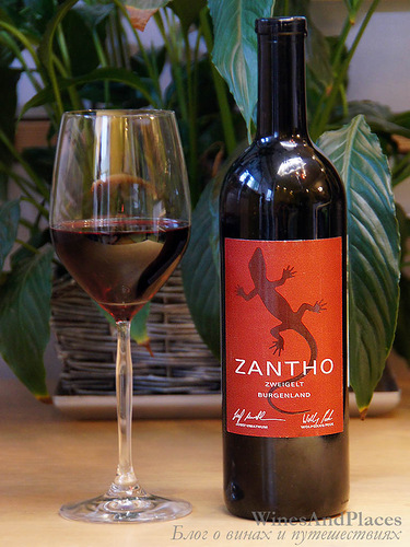 фото Zantho Zweigelt Цанто Цвейгельт Австрия вино красное
