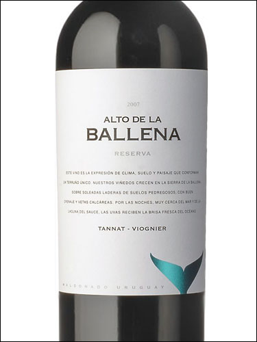 фото Alto de la Ballena Reserva Tannat-Viognier Альто де ла Бальена Ресерва Таннат-Вионье Уругвай вино красное