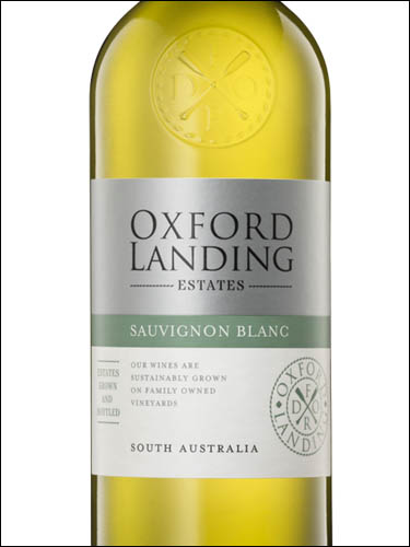 фото Oxford Landing Sauvignon Blanc Оксфорд Лэндинг Совиньон Блан Австралия вино белое