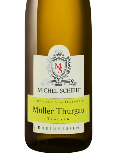 фото Michel Scheid Muller Thurgau Trocken Rheinhessen Михель Шайд Мюллер Тургау Трокен Рейнхессен Германия вино белое