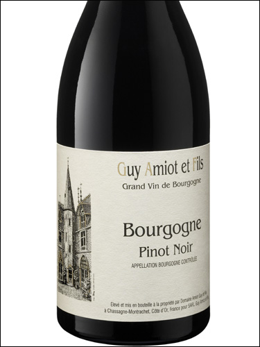 фото Domaine Amiot Guy et Fils Bourgogne Pinot Noir AOC Домен Амио Ги э Фис Бургонь Пино Нуар Франция вино красное