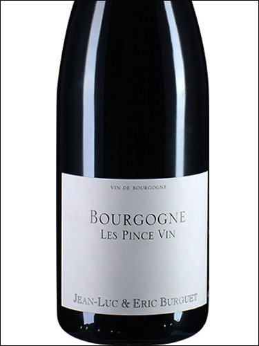 фото Domaine Alain Burguet Bourgogne Rouge les Pince Vin AOC Домен Ален Бюрге Бургонь Ле Панс Ван Франция вино красное