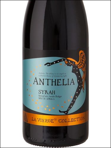фото La Vierge Anthelia Syrah Ла Вьерж Антелия Сира ЮАР вино красное