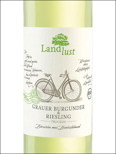 фото Landlust Grauer Burgunder &  Riesling Trocken Pfalz Ландлуст Грауэр Бургундер & Рислинг Трокен Пфальц Германия вино белое