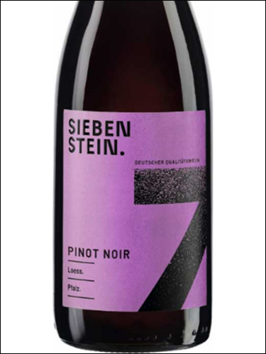 фото Sieben Stein Pinot Noir Loess Pfalz Зибен Штайн Пино Нуар Лёсс Пфальц Германия вино красное